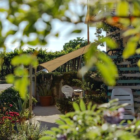 B&B La Ciammaruca Pollutri 외부 사진